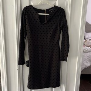 THE LIMITED little black dress